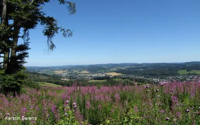 Blick auf Neuenrade